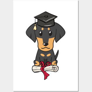 Funny dachshund is graduating Posters and Art